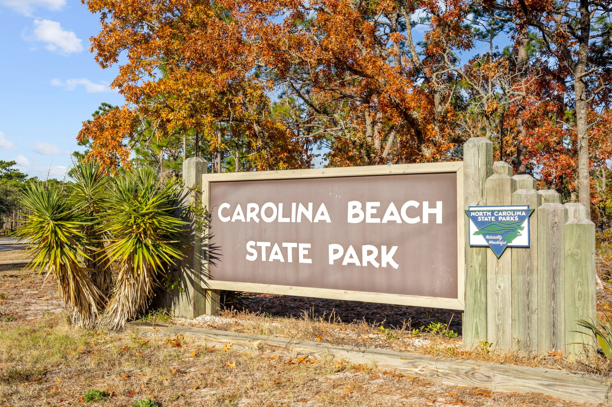 The Carolina Beach State Park entrance sign under fall trees