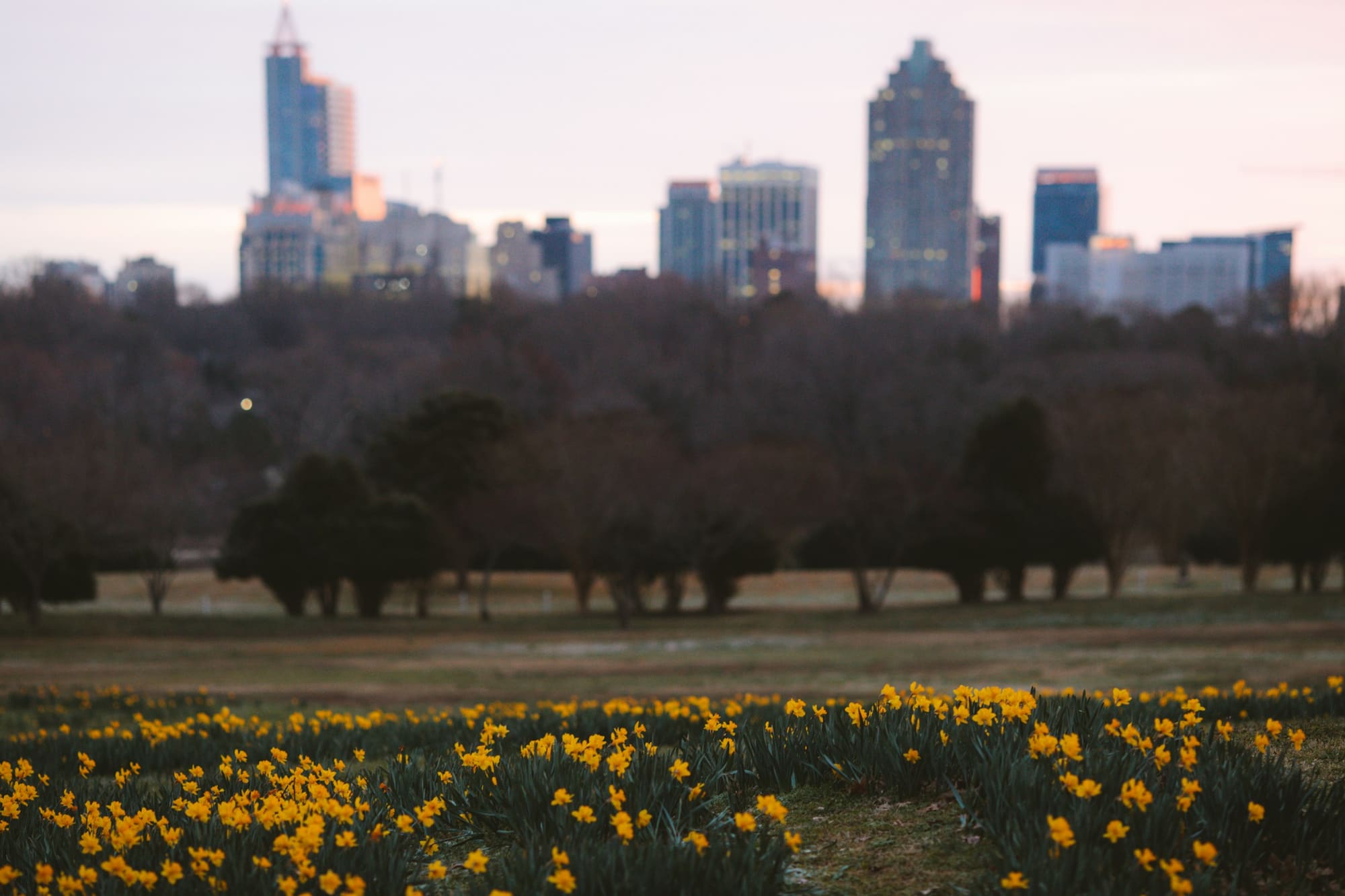Raleigh Area, The Triangle